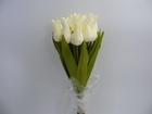 Tulipan pojedynczy liliokształtny (13)