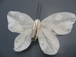Motyl biały (3)