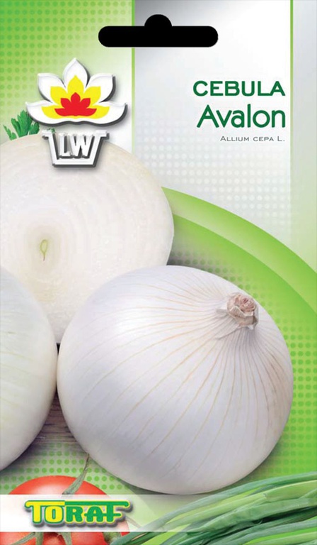 Cebula Avalon [3g] - średnio wczesna,nasiona