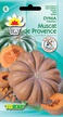 Dynia piżmowa Muscadet de Provence [3g]-późna (1)