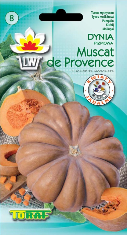 Dynia piżmowa Muscadet de Provence [3g]-późna,nasiona (1)
