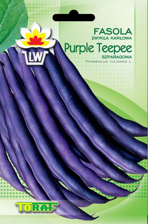Fasola Purple Teepee [30g] - fioletowostrąkowa, szparagowa wczesna (1)