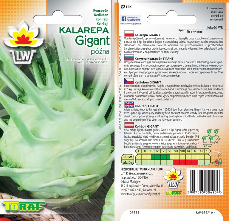 Kalarepa Gigant [2g] -późna, nasiona (1)