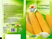 Kukurydza Złota Karłowa [20g] - bardzo wczesna, nasiona (2)