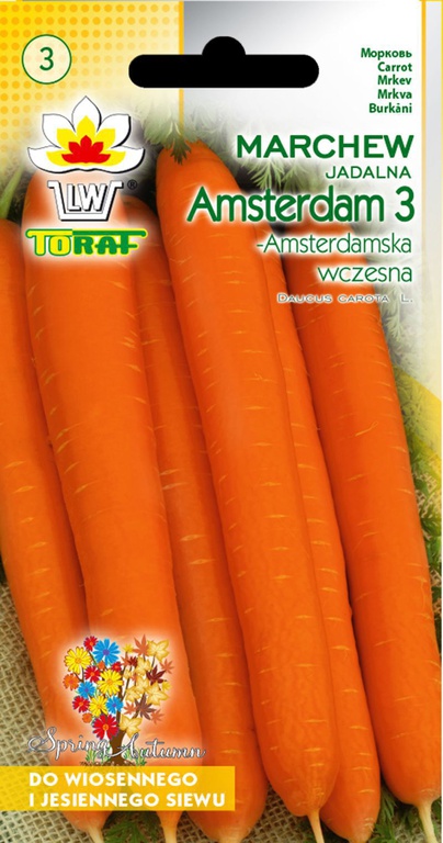 Marchew Amsterdam 3 [5g] - wczesna, nasiona