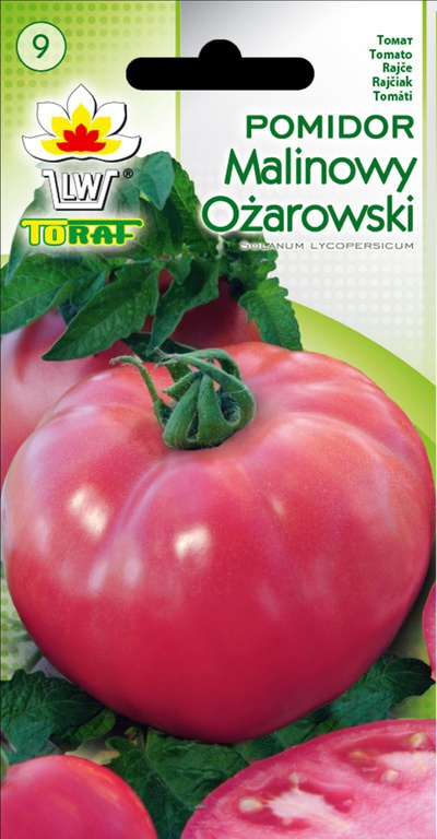 Pomidor Mal. Ożarowski [0,5g] - wczesny, bardzo plenny, nasiona (1)