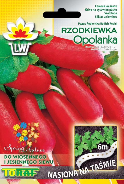 Rzodkiewka Opolanka t. 6m nasiona