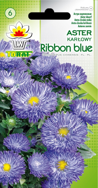 Aster karł. Ribbon Blue [0,5g] nasiona (1)