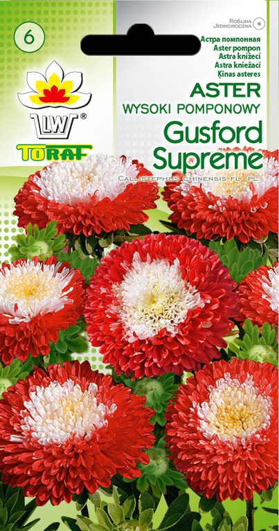 Aster pomponowy Gusford S. [1g] nasiona (1)