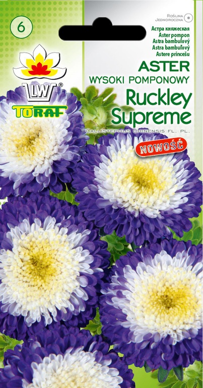 Aster pomponowy Ruckley Supreme [1g] nasiona (1)