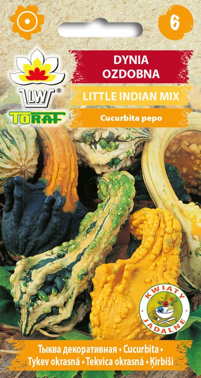 Dynia ozdobna Little Indian mix [2g] nasiona (1)