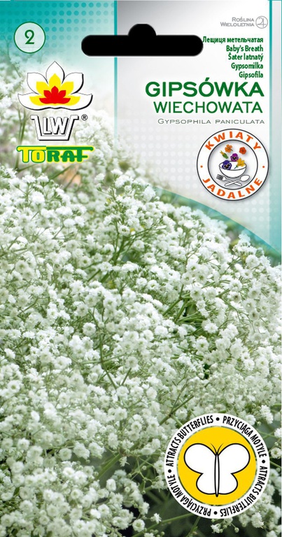 Gipsówka wiech. biała [0,5g] nasiona (1)
