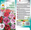 Goździk pierz. Spring Beauty [0,5g] nasiona (2)