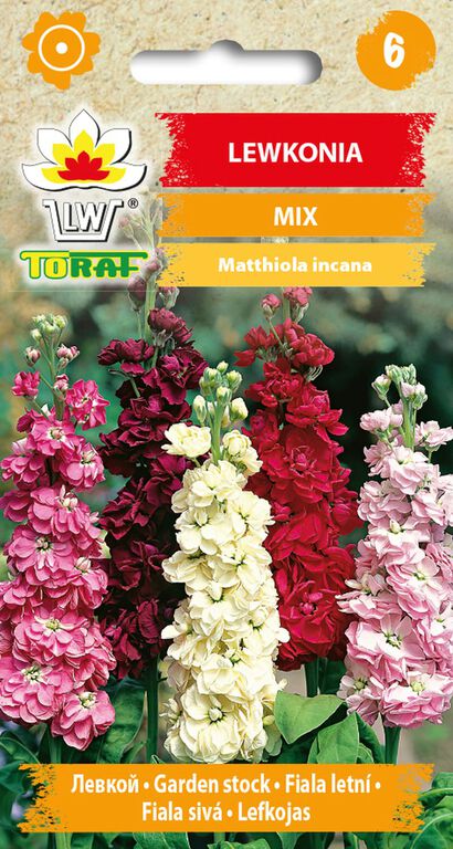 Lewkonia let. mix [0,5g] nasiona (1)