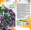 Lobelia Cascade mix [ 0,1g] nasiona (2)