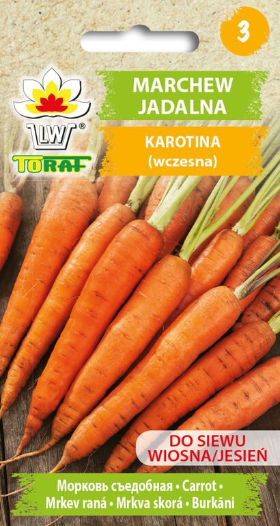 Marchew Karotina [5g] wczesna, plenna ,nasiona (1)