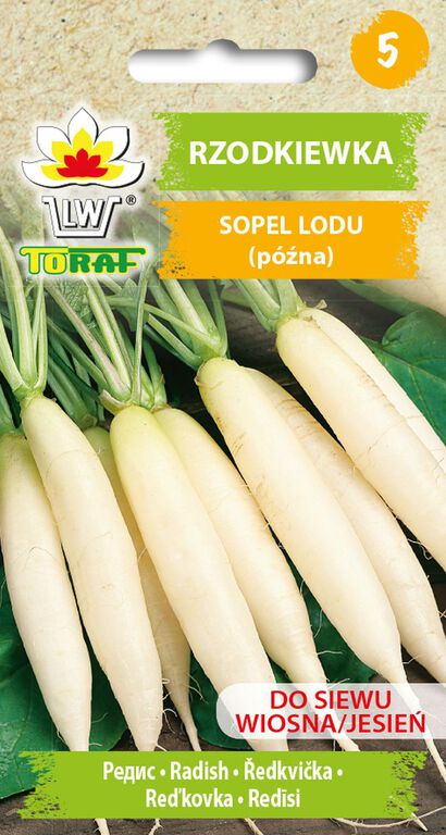 Rzodkiewka Sopel Lodu [10g], późna nasiona (1)