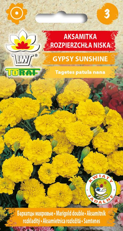 Aksamitka rozp. Gypsy Sunshine [1g] nasiona (1)