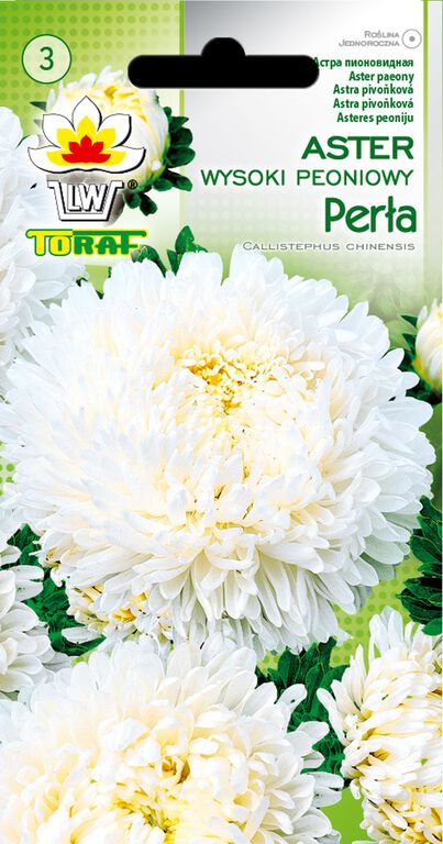 Aster peoniowy Perła [1g] (1)