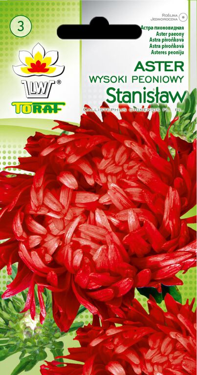 Aster peoniowy Stanisław [1g] czerwony nasiona (1)