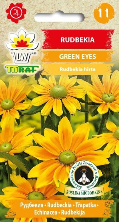 Rudbekia Green Eyes [0,3g] żółto-zielona (1)