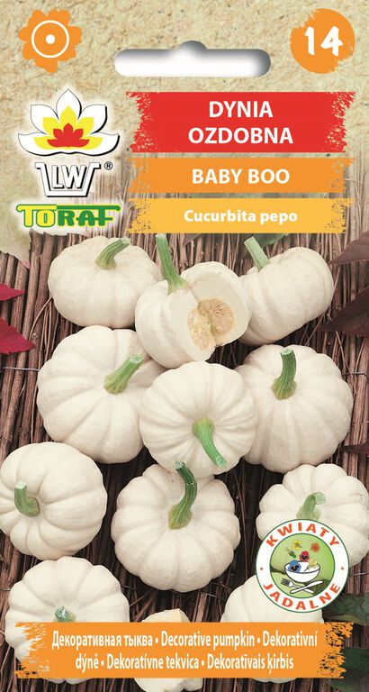 Dynia ozdobna Baby Boo [2g] nasiona (1)