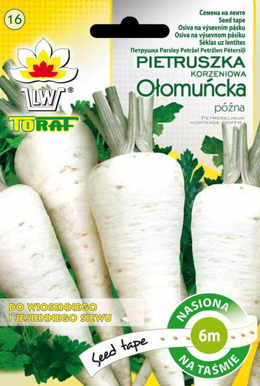 Pietruszka Ołomuńcka - taśma 6m nasiona (1)