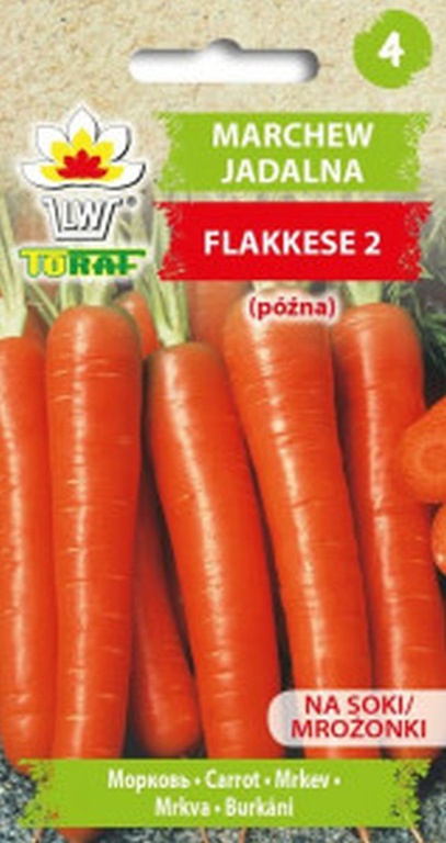 Marchew Flakkese 2 [5g] nasiona (1)
