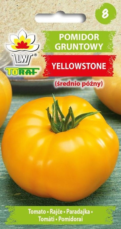 Pomidor gruntowy Yellowstone [0,3g] nasiona (1)