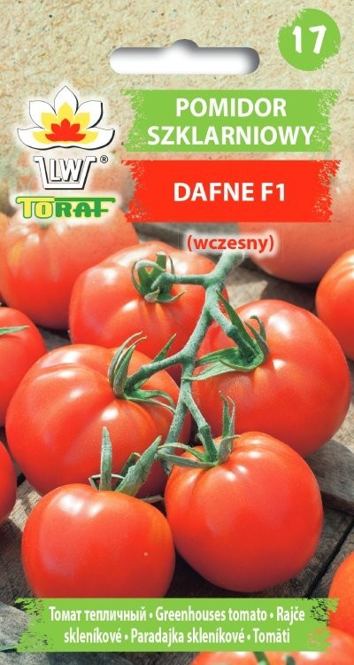 Pomidor szklarniowy Dafne 1 [0,2g] nasiona (1)