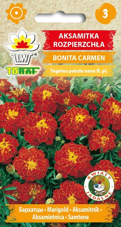 Aksamitka Bonita Carmen [1g] nasiona (1)