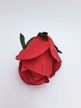 Róża pąk główka (3)