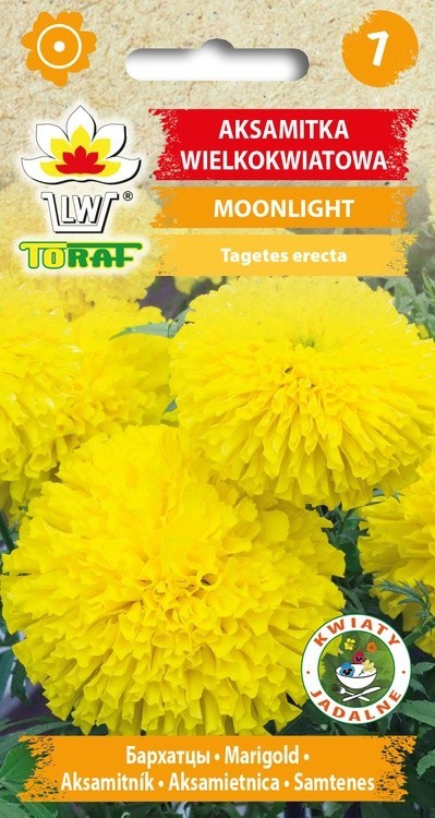 Aksamitka wielkokwiatowa Moonligt żółta [1g] nasiona (1)