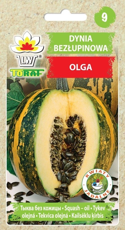 Dynia olbrzymia Olga bezłupinowa [ 2g] nasiona (1)