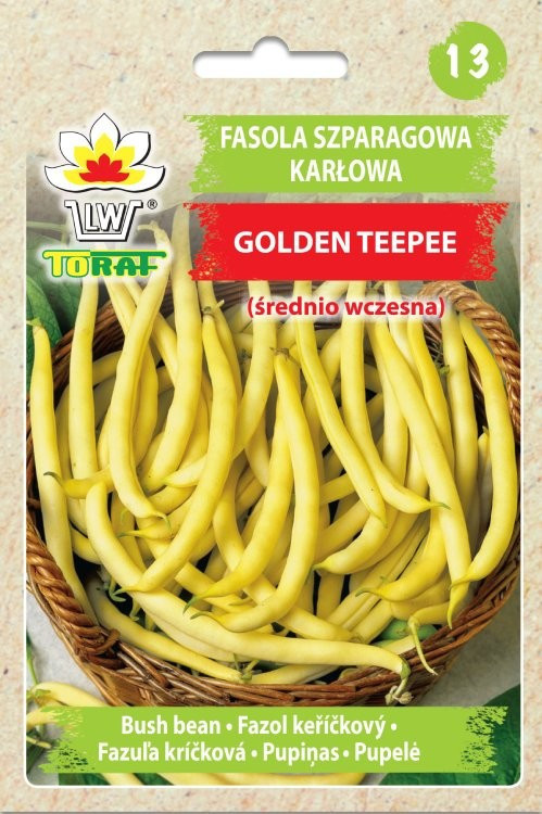Fasola szparagowa karłowa Golden Teepee, średnio wczesna [ 30g] nasiona (1)